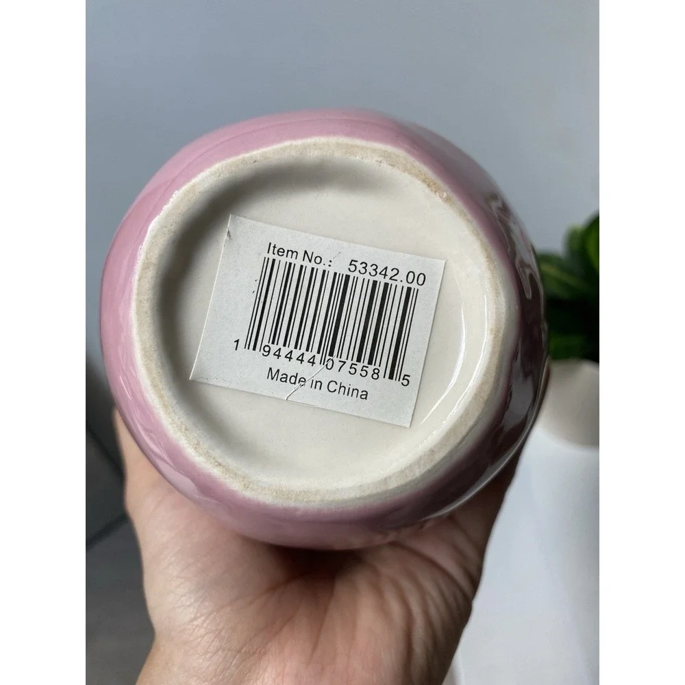 Pink‎ Face Planter For Succulent Quirky Whimsy
